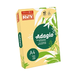 Imagem de RESMA PAPEL COLORIDO A4 80GR ADAGIO INTENSO DAMASCO (60)