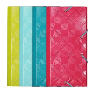 Picture of CAPA C/ELASTICOS DL 12X23CM EXACOMPTA 1928 3 ABAS (55240E)