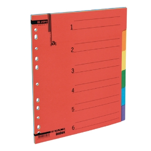 Imagem de SEPARADOR CARTOLINA A4 6 POSIÇOES PAJORY CORES FORTES