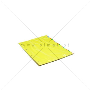 Imagem de SEPARADOR CARTOLINA A4 20 POSIÇÕES CORES