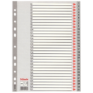 Picture of SEPARADOR PP A4 31 POSIÇOES ESSELTE 100108 NUMERADO CINZA