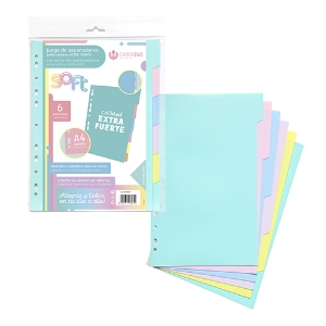 Picture of SEPARADOR PP A4 6 POSIÇÕES CARCHIVO 49060699 PASTEL SORTIDO