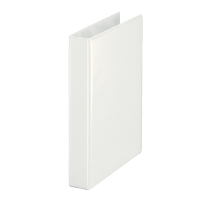 Picture of PASTA CATALOGO A4 L45 2ARG. BRANCA ESSELTE REF.49737 D/2/25