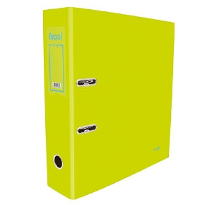 Picture of PASTA ARQUIVO A4 FEGOL NEO:STYLE L80 018218 LISA VERDE LIMAO