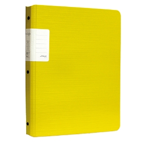 Picture of PORTFOLIO A4 30 BOLSAS FEGOL RE:STYLE 073123 AMARELA