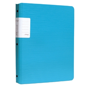 Picture of PORTFOLIO A4 30 BOLSAS FEGOL RE:STYLE 073123 AZUL CYAN