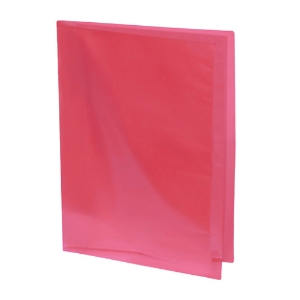 Imagem de PORTFOLIO A4 40 BOLSAS FEGOL 7340-03 VERMELHO (80PAG)