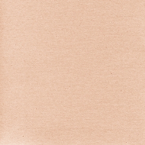Imagem de FL. PAPEL KRAFT RENOVA LISO 98X140CM 110GR