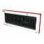 Picture of TECLADO TRUST PRIMO (24142)