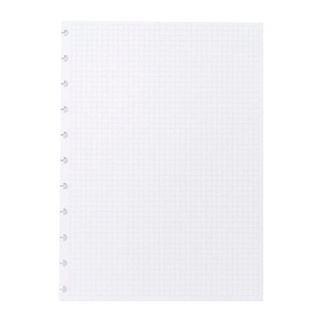 Imagem de CADERNO INTELIGENTE - FOLHAS XADREZ GRANDE A4 90GR
